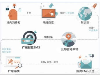 圖說海淘 個人包裹直郵進口清關代理、行郵清關與深圳物流服務全解析，助您找到便宜高效的海淘物流方案